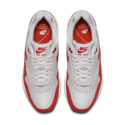 NIKE WMNS AIR MAX 1 / GRIS